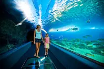 maui10.jpg