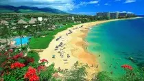 maui2.jpg