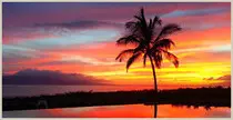 maui4.jpg