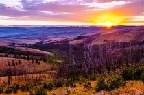 yellowstone.jpg