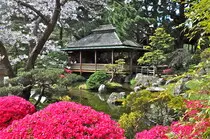 japanese-tea-garden.jpeg