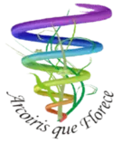 images/LogoArcoTrans.png