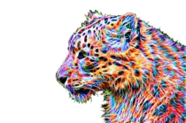 tiger.png