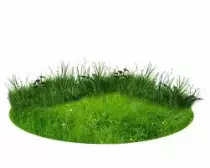imagen.png
