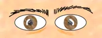 eye.gif