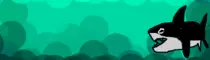 shark.gif