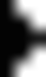 layout/styles/images/black_file.gif