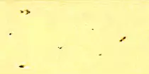 assets/sunmap.jpg