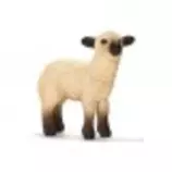 imagenes/corderito.jpg