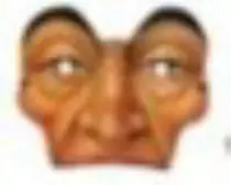starfollies/mask4.jpg