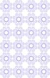 fondo.png
