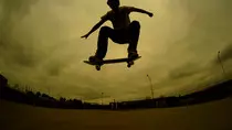 OLLIE.jpg
