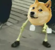 doge.gif