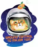 images/full/majortom/majortom.png