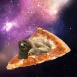 week12/sloth.gif