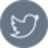 logos/gris/Twitter.png