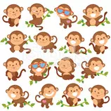 monkey .jpg
