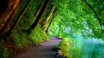 naturebackground.jpg