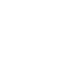 themes/images/icon-png/action-white.png