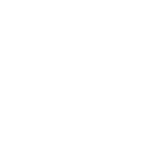 themes/images/icon-png/arrow-d-l-white.png
