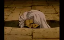 stupid/peek.gif