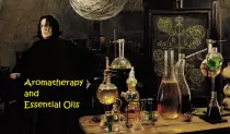 snape_title.jpg