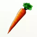 CarrotSpice PROJECT/carrotimg/carrotorange.jpg