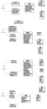 WebDev/iteration3/Main.png
