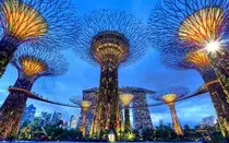 images/supertree.jpg