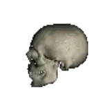 skull-left.gif