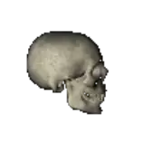 skull-right.gif