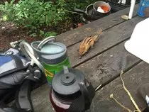 images/chipper.jpg