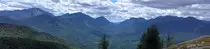 images/summerBanner1700x400.jpg