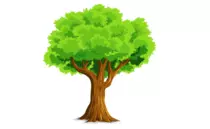 Ejercicio2.html/imagenes/tree-1716991_1280.png