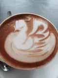 matias/café/cisne.jpg