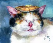 CatImages/cat17.png