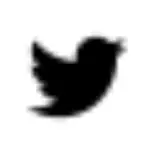 SharedAssets/Twitter.png