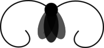 bug.png