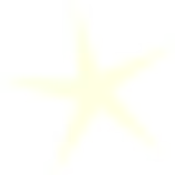 star.png
