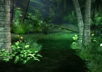 Phaser Final Game/assets/jungle.jpg