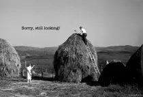 Images/NotFound_StillLookingBW.jpg