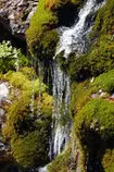 depositphotos_75409461-Beautiful-Waterfall-in-the-forest.jpg