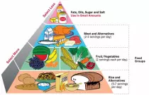 balancediet.jpg