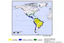 maps/Rniger_s.jpg
