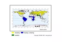maps/Rriparia_s.jpg