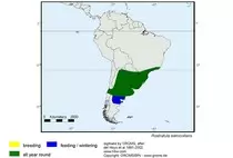 maps/Rsemicol_s.jpg