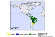maps/Rsociabi_s.jpg
