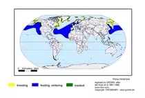 maps/Rtridact_s.jpg