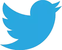 Twitter_bird_logo_2012.png