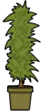 6.5_Elementos_Interactivos/web/images/rplant.png
